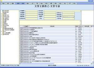 电脑文件管理软件下载 文管王文件管理系统 v6.59 破解版